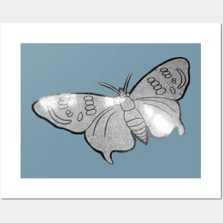 Butterfly Posters and Art